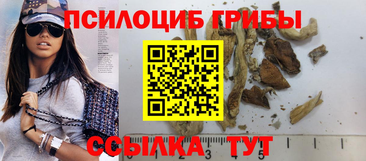 Галлюциногенные грибы Cubensis  Вход с VPN  Армавир 